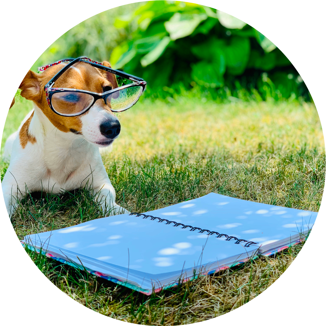 Dog wearing glasses, reading a notebook outside.